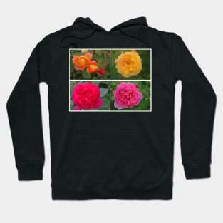 All Kinds of Roses, July 2021 Hoodie